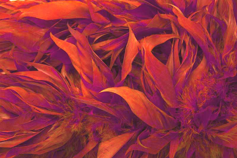 Contact hill country salon suite rentals