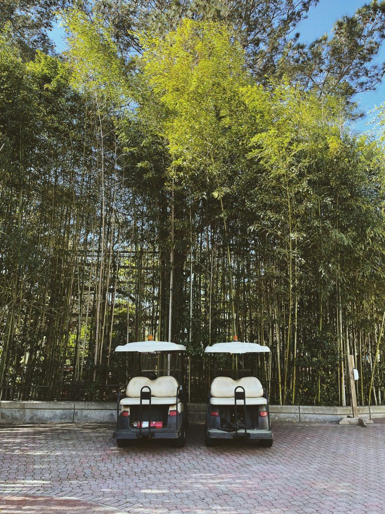 Golf cart ride to sun city texas